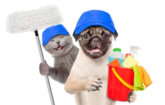 5 tips on how to keep your home clean with pets-Merci-Cleaning-London