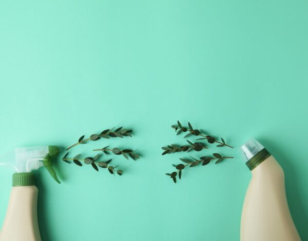 The Ultimate Guide to Eco-Friendly Cleaning-Merci-Cleaning-London