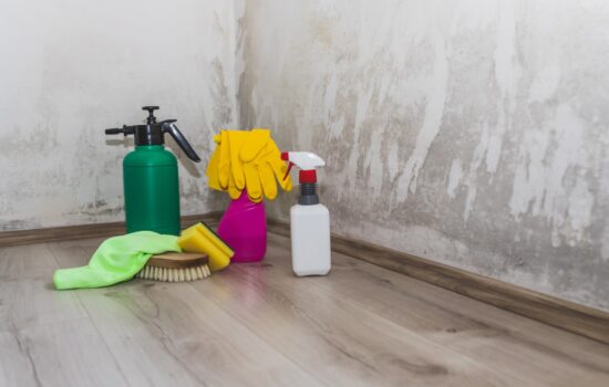How to Combat Mould in Your London Home-Merci Cleaning London