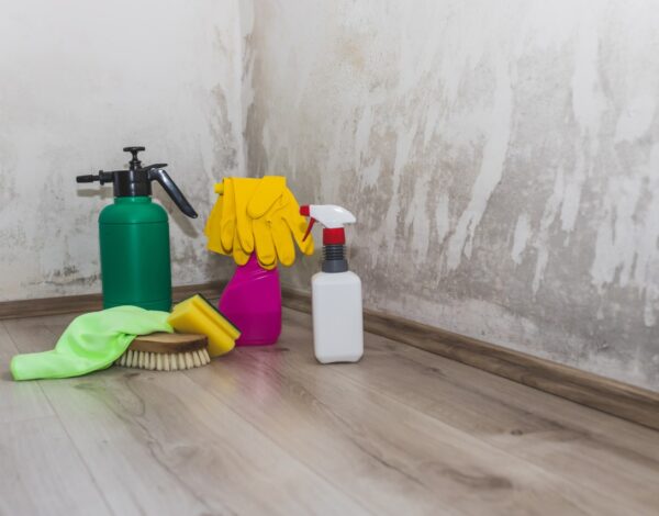 How to Combat Mould in Your London Home-Merci Cleaning London